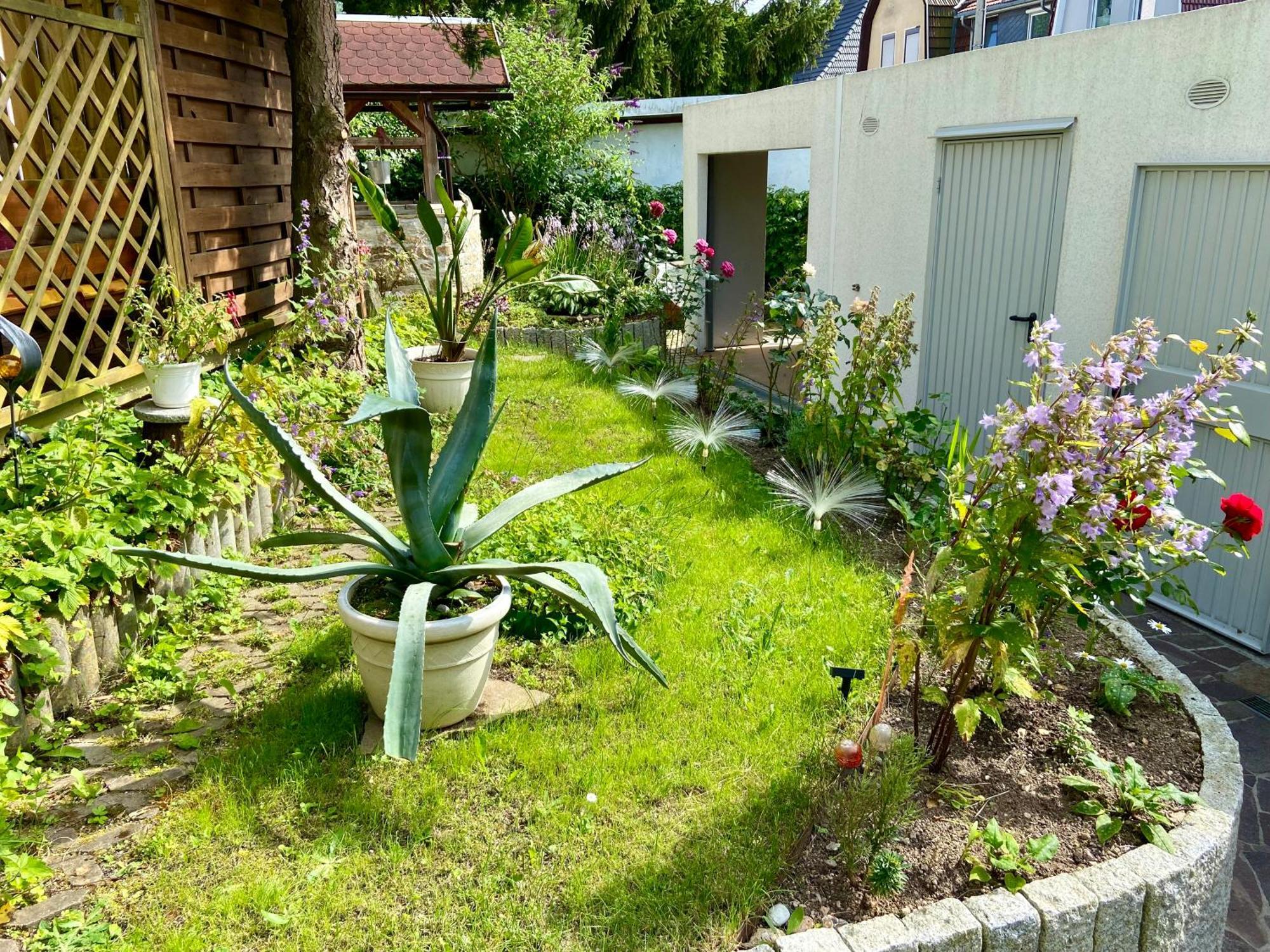 Ferienwohnung Regenbergblick Zella-Mehlis Exterior foto